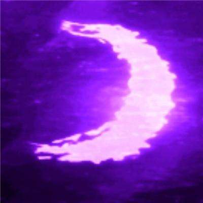 365在线下载手机版